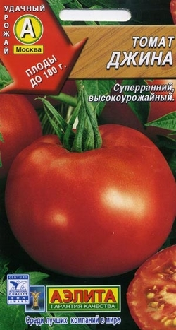 томаты "Джина"
