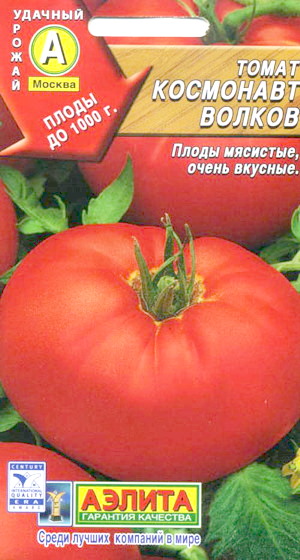 Космонавт Волков» – раскрываем секреты этого сорта томатов